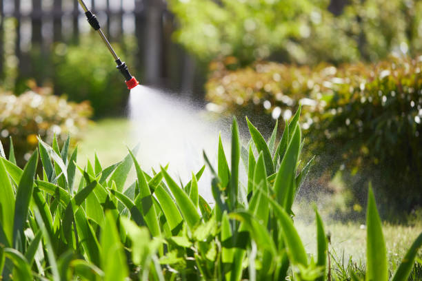 24/7 Emergency Wasp Removal experts in Bronson, MI