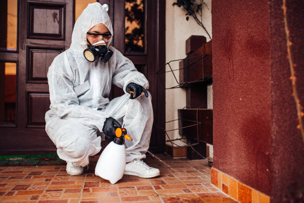 Reliable Wasp Removal contractor in Bronson, MI by Show Me Pest Control